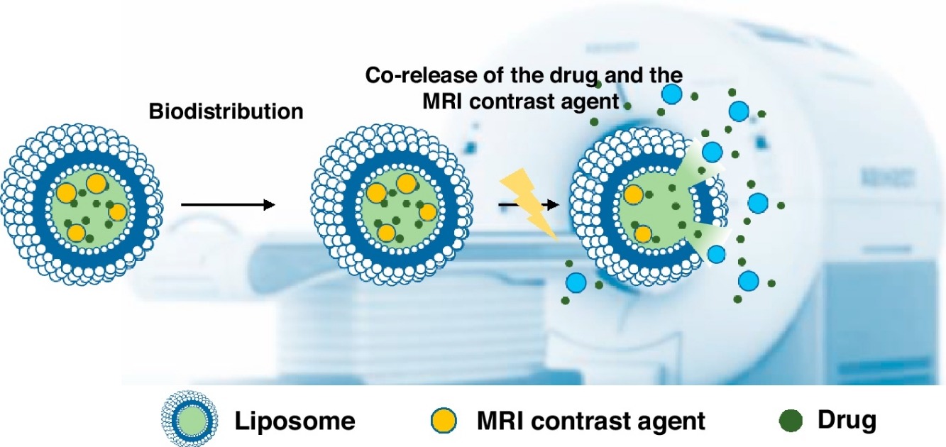 Following nanomedicine activation with magnetic resonance imaging: why, how, and what's next?